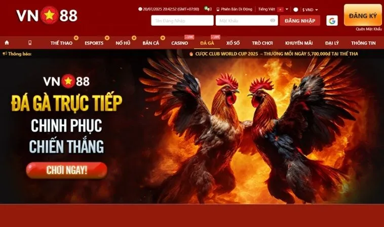 Sảnh đá gà VN88 uy tín, chất lượng để tham gia cá cược