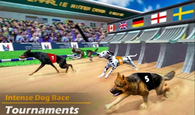 Hướng Dẫn Chơi Game Nhanh Đua Chó VN88 Thắng Lớn Dễ Dàng 2 Chiến thuật tăng tỷ lệ thắng trong game nhanh Đua Chó VN88